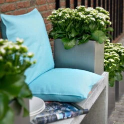 Kalanchoe 'Calandiva'®, Weiß, Topf-Ø 12 Cm, Höhe Ca. 27,5 Cm, 6er-Set 11 Kalanchoe 'Calandiva'®, Weiß, Topf-Ø 12 Cm, Höhe Ca. 27,5 Cm, 6er-Set -Bio Pflanzen Verkauf 0210350168 Kalanchoe Cal weiss2