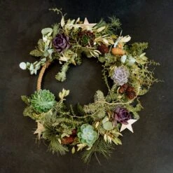 Schnittecheverien-Mix, Ø 8 Cm, 8er-Set -Bio Pflanzen Verkauf 0250103364 Echeveria Mix 7 10cm in DIY Box 5 117175