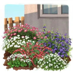 Schattenstauden Set, 18 Pflanzen Für 3 M², Bunt