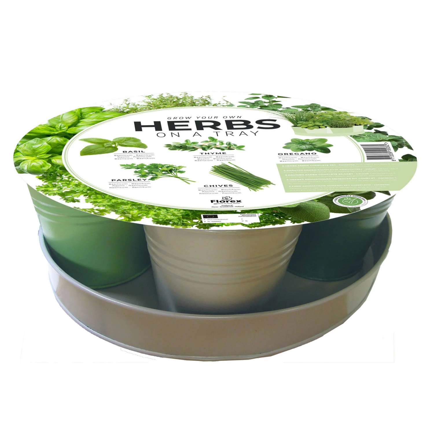 Kräutertablett-Saatgut: Petersilie, Oregano, Basilikum, Schnittlauch & Thymian 1 Kräutertablett-Saatgut: Petersilie, Oregano, Basilikum, Schnittlauch & Thymian