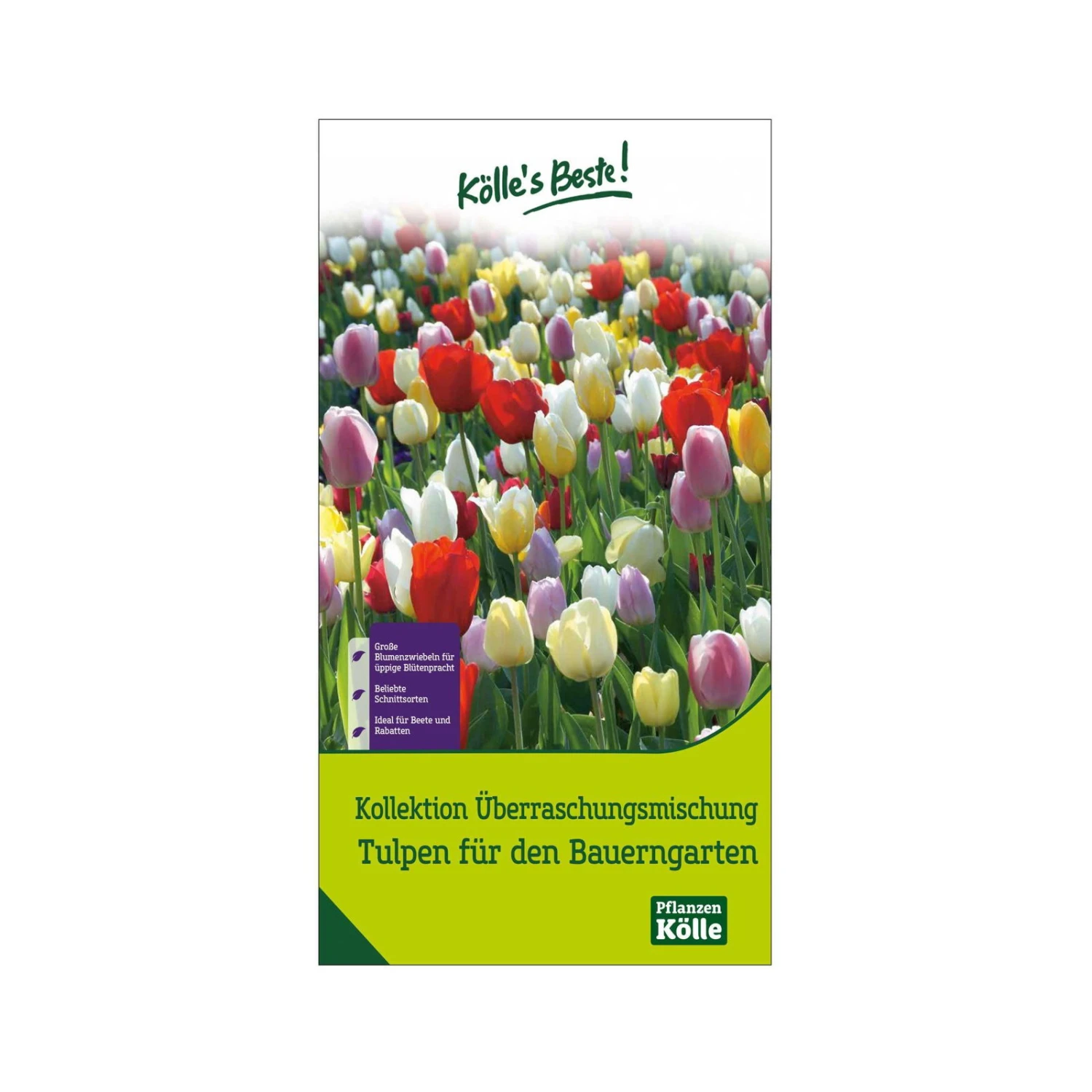 Überraschungsmischung Bauerngarten 75 Blumenzwiebeln 1 Überraschungsmischung Bauerngarten 75 Blumenzwiebeln