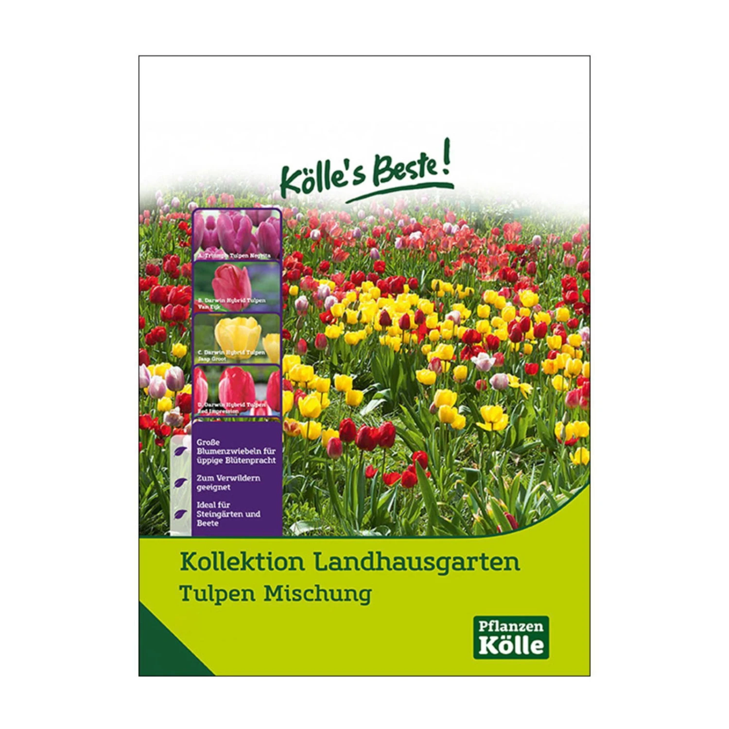 Tulpen-Kollektion Landhausgarten, 50 Blumenzwiebeln 1 Tulpen-Kollektion Landhausgarten, 50 Blumenzwiebeln