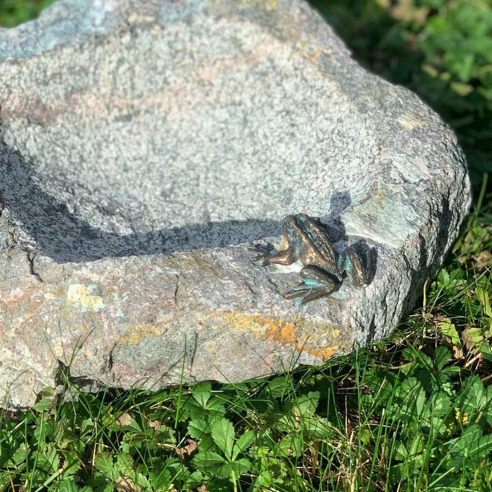 Rottenecker Vogeltränke Mit Frosch & Eidechse, Granit/Bronze, 10 X 25 X 20 Cm 2 Rottenecker Vogeltränke Mit Frosch & Eidechse, Granit/Bronze, 10 X 25 X 20 Cm – Bild 2