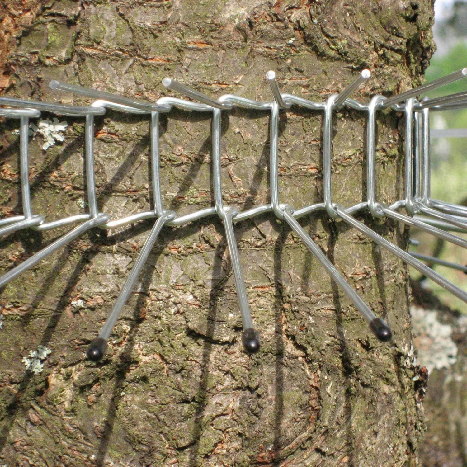 Katzenabwehrgürtel, Draht, Schutz Für Brütende Vögel, Umfang Bis 70 Cm 2 Katzenabwehrgürtel, Draht, Schutz Für Brütende Vögel, Umfang Bis 70 Cm – Bild 2