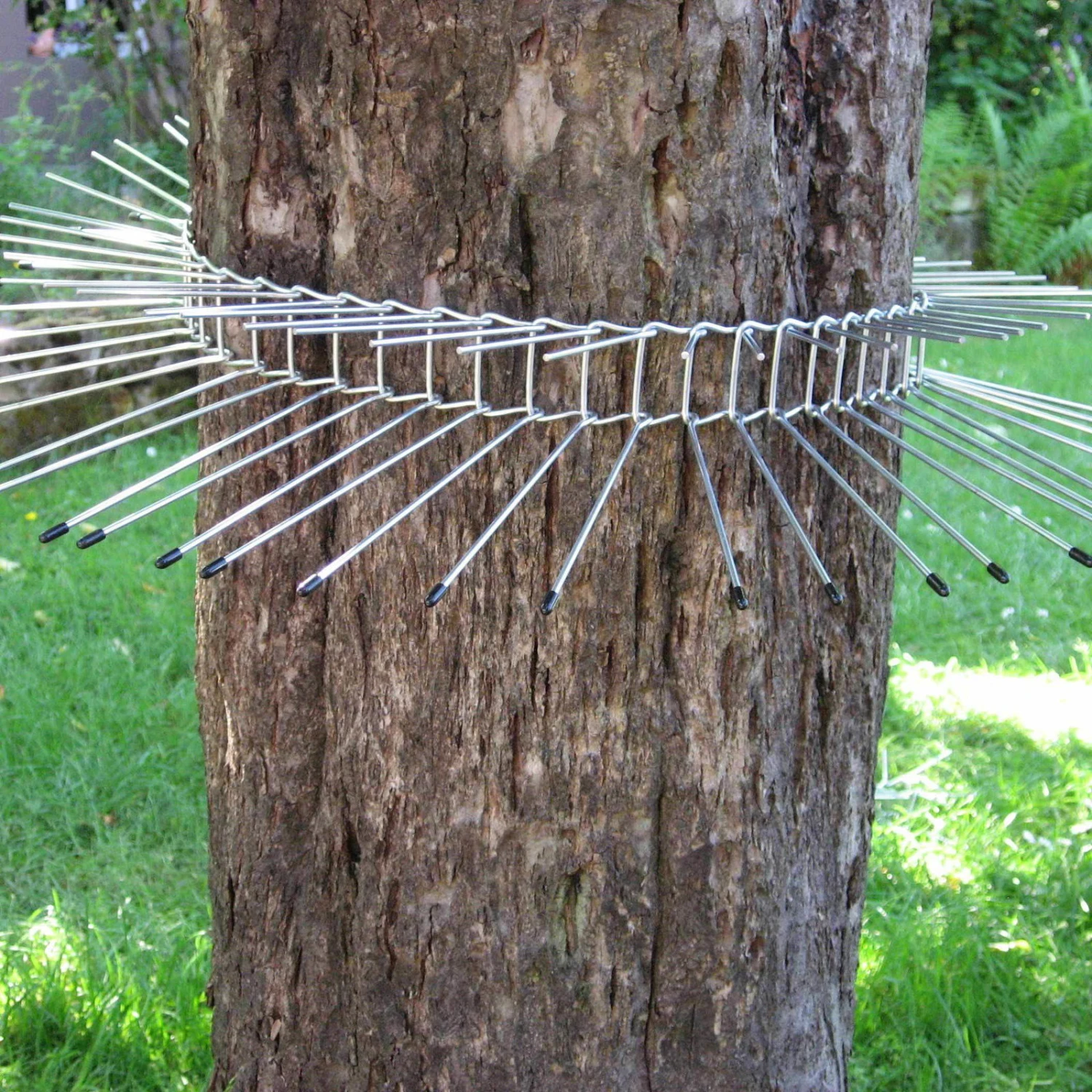 Katzenabwehrgürtel, Draht, Schutz Für Brütende Vögel, Umfang Bis 70 Cm 1 Katzenabwehrgürtel, Draht, Schutz Für Brütende Vögel, Umfang Bis 70 Cm