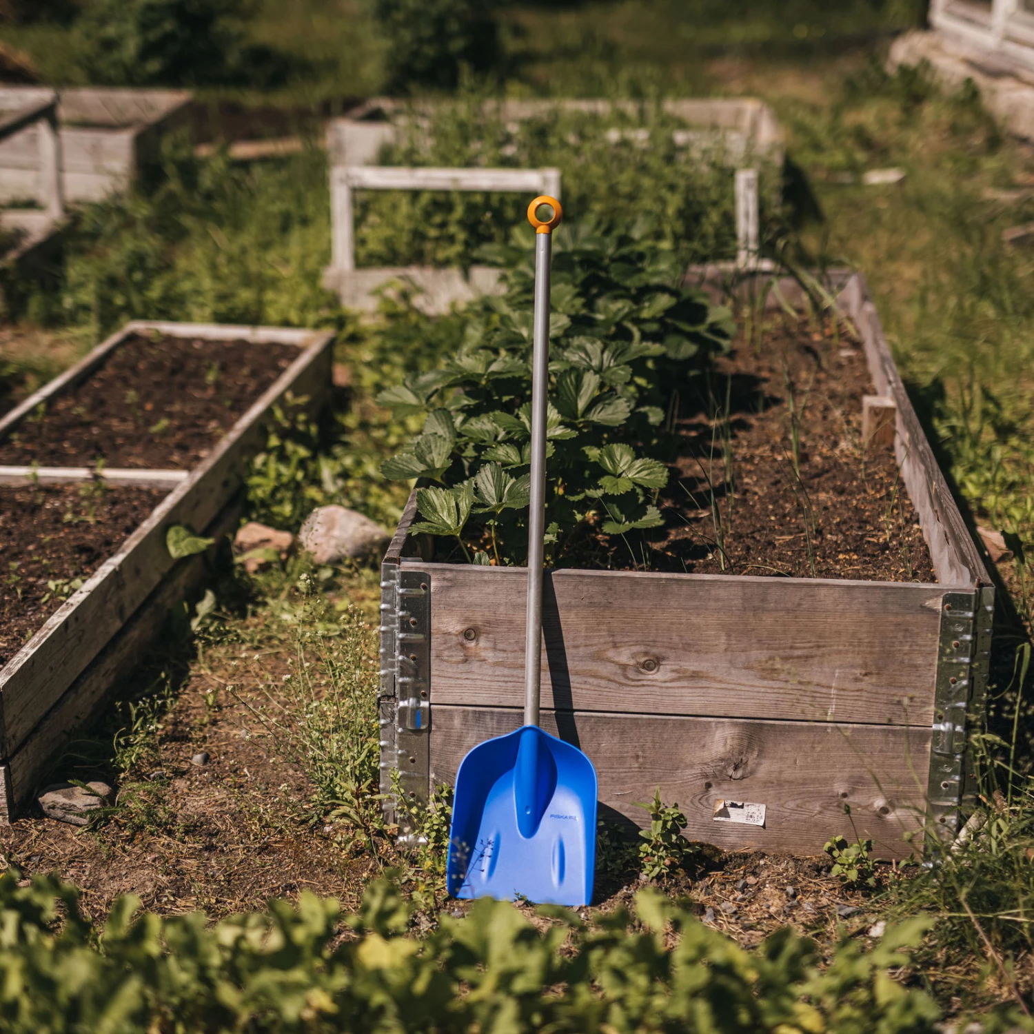 Schaufel 'MyFirst Fiskars', Blau/orange 3 Schaufel 'MyFirst Fiskars', Blau/orange – Bild 3