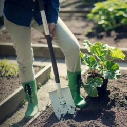 Fiskars Light Gärtnerspaten Spitz 5 Fiskars Light Gärtnerspaten Spitz -Bio Pflanzen Verkauf 0920100998 Light Gaertnerspaten spitz 2 107009