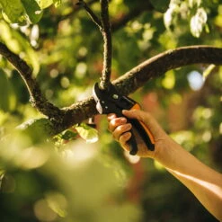 Fiskars Gartenschere 'Amboss' 6 Fiskars Gartenschere 'Amboss' -Bio Pflanzen Verkauf 0920300457 FISKARS Gartenschere Amboss PowerStep 2 106737