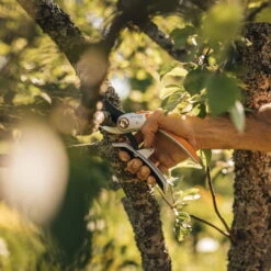 Fiskars Schere 'Plus PowerLever', Schwarz/orange 5 Fiskars Schere 'Plus PowerLever', Schwarz/orange -Bio Pflanzen Verkauf 0920300707 Plus PowerLever Metall Bypass Gartenschere 3 106801