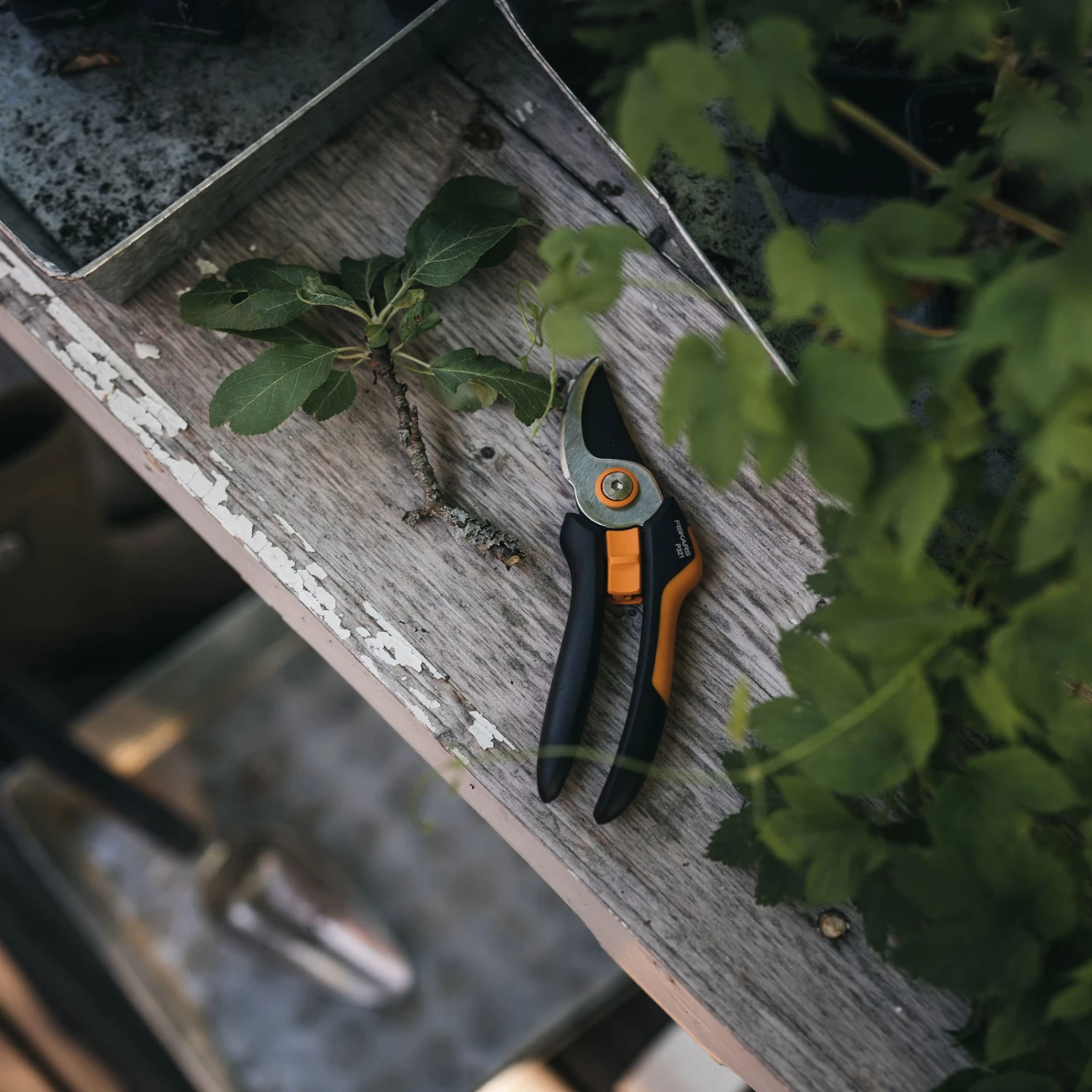 Fiskars Bypass-Schere 'Solid', Schwarz/orange 3 Fiskars Bypass-Schere 'Solid', Schwarz/orange – Bild 3