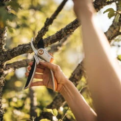 Fiskars Bypass Gartenschere P531 Smartfit -Bio Pflanzen Verkauf 0920300709 Plus Metall Bypass Gartenschere P531 Smartfit 2 115514