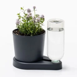 Kräuterheld, Anthrazit, PP/PET, 14 X 14 X 22 Cm -Bio Pflanzen Verkauf 0930101631 Kraeuterheld anthrazit1 116321