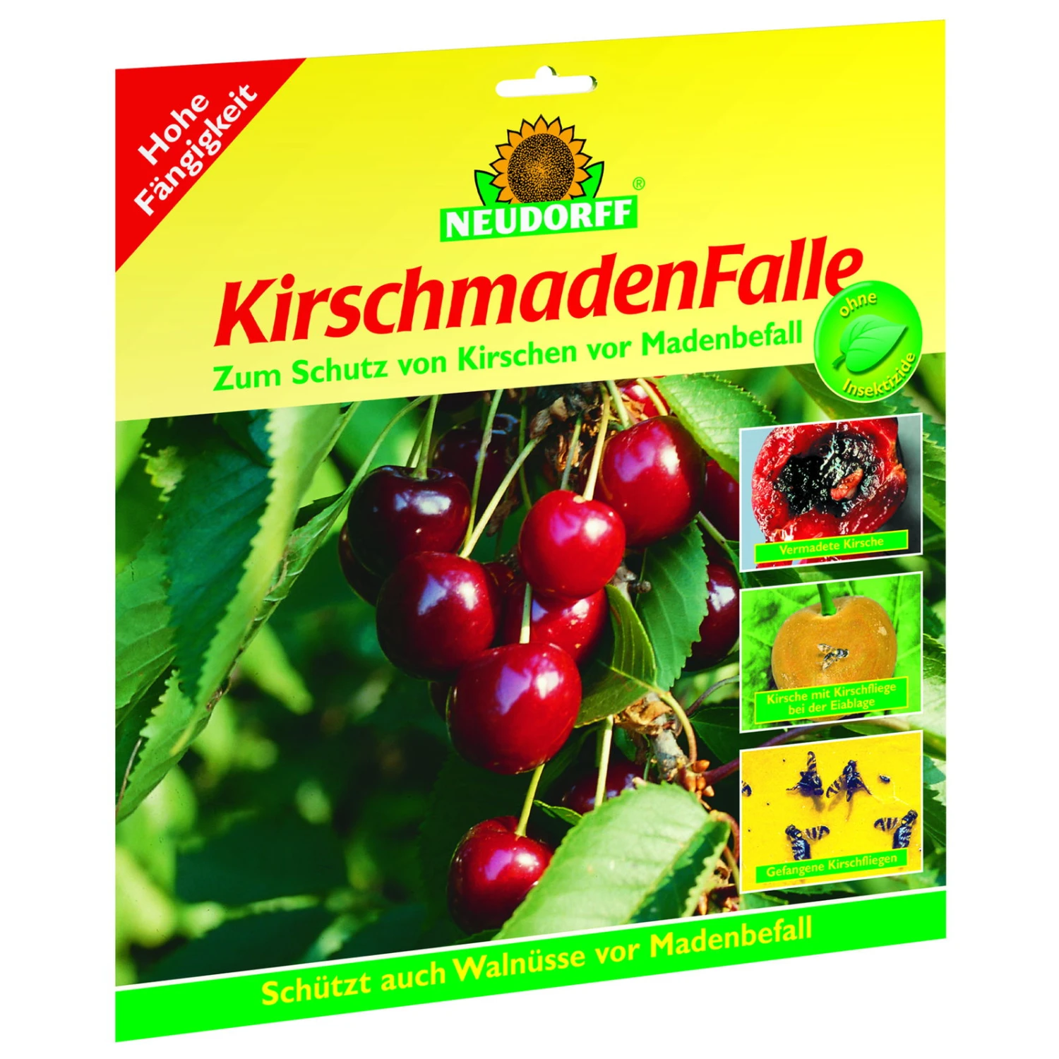 Neudorff KirschmadenFalle, Packung Mit 7 Fallen 1 Neudorff KirschmadenFalle, Packung Mit 7 Fallen