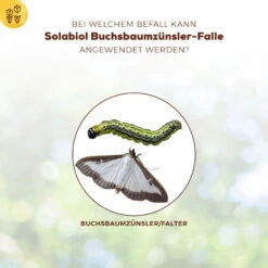 Solabiol Buchsbaumzünsler-Falle, Ausreichend Für Bis Zu 180 M² -Bio Pflanzen Verkauf 0950200723 Buchsbaumzuensler Falle fuer bis zu 180qm Flaeche 1 107232