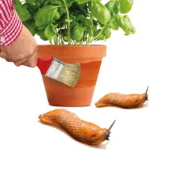 Schnexagon, Anstrich Gegen Schnecken, 375 Ml 5 Schnexagon, Anstrich Gegen Schnecken, 375 Ml -Bio Pflanzen Verkauf 0950300991 Schnexagon 375ml 1 94152