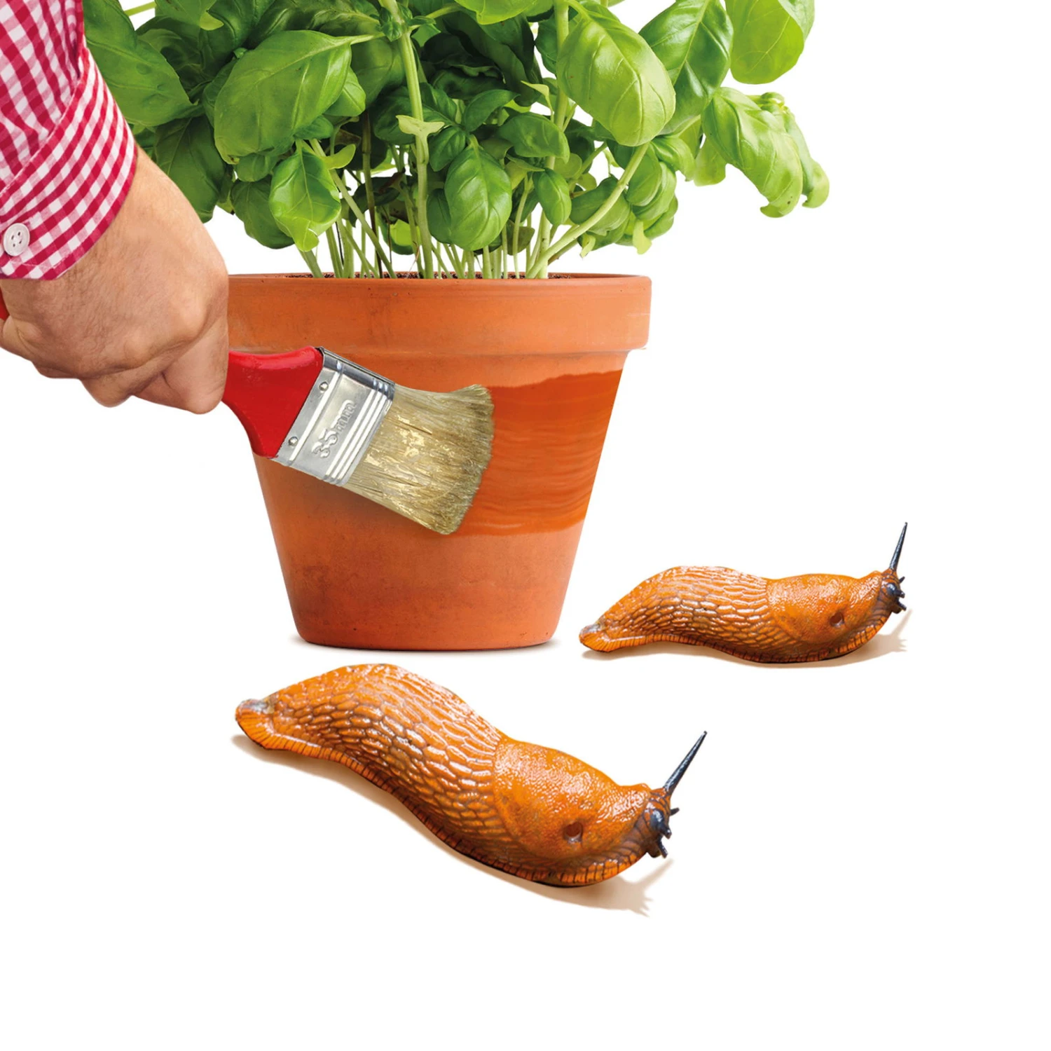 Schnexagon, Anstrich Gegen Schnecken, 375 Ml 3 Schnexagon, Anstrich Gegen Schnecken, 375 Ml – Bild 3