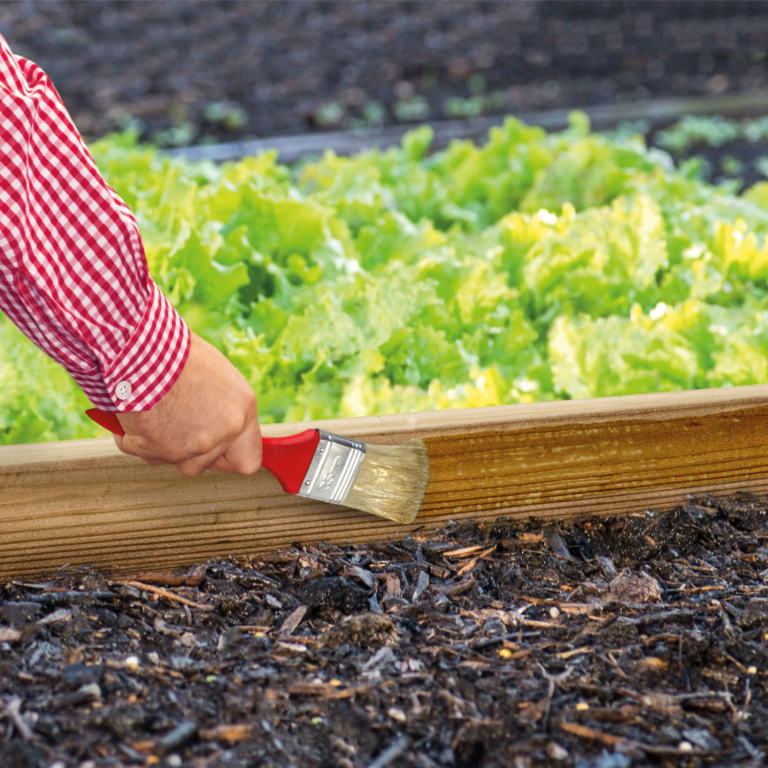 Schnexagon, Anstrich Gegen Schnecken, 375 Ml 2 Schnexagon, Anstrich Gegen Schnecken, 375 Ml – Bild 2