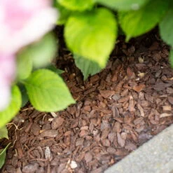 Plantavital Rindenmulch Fein, 2280l, 57 Sack á 40l 6 Plantavital Rindenmulch Fein, 2280l, 57 Sack á 40l -Bio Pflanzen Verkauf 0960 rindenmulch 125174