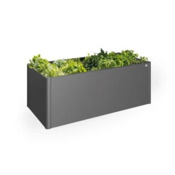 Bestseller -Bio Pflanzen Verkauf 0980250079 65015 Hochbeet2x1 dunkelgrau Schatten mitPflanzen 122597