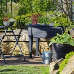 Hochbeet Mit Deckel, Anthrazit, Ca. 100 X 50 X 107 Cm 5 Hochbeet Mit Deckel, Anthrazit, Ca. 100 X 50 X 107 Cm -Bio Pflanzen Verkauf 0980250129 Hochbeet mit Beinen und Deckel anthrazit 111345