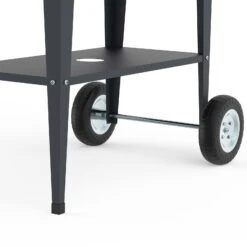 Hochbeet-Trolley Mit Rädern, Anthrazit, Metall, 75 X 35 X 80 Cm, 47 L -Bio Pflanzen Verkauf 0980250141 Urban Garden Trolly auf Raedern anthrazit 3 84499
