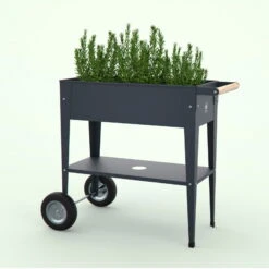 Hochbeet-Trolley Mit Rädern, Anthrazit, Metall, 75 X 35 X 80 Cm, 47 L -Bio Pflanzen Verkauf 0980250141 Urban Garden Trolly auf Raedern anthrazit 9 84505