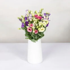 Gemischter Blumenbund 'Lisianthus' Inkl. Gratis Grußkarte 5 Gemischter Blumenbund 'Lisianthus' Inkl. Gratis Grußkarte -Bio Pflanzen Verkauf 1015700001 Lisianthus Mix 10er Bund weiss blau rosa WS 2 94400