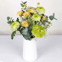 Gemischter Blumenbund 'Grüne Schönheit' Inkl. Gratis Grußkarte 5 Gemischter Blumenbund 'Grüne Schönheit' Inkl. Gratis Grußkarte -Bio Pflanzen Verkauf 1025700013 DIY Mixbund Gruene Schoenheit Nelke Zembla Crasp Euka Gypso Stat Anth 1 94427