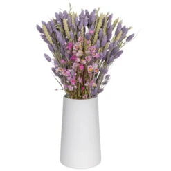 Rosa Trockenstrauß & Lila Glanzgras, 3er-Set, Länge Ca. 55 - 70 Cm 5 Rosa Trockenstrauß & Lila Glanzgras, 3er-Set, Länge Ca. 55 - 70 Cm -Bio Pflanzen Verkauf 1055300003 Trockenstrauss rosa Phalaris lila 1 83165