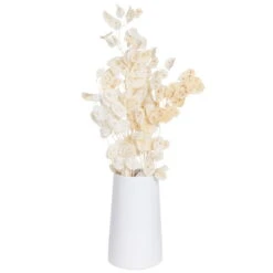 Silbertaler, Getrocknet, Lunaria, Ca. 80 Cm Lang 7 Silbertaler, Getrocknet, Lunaria, Ca. 80 Cm Lang -Bio Pflanzen Verkauf 1055300008 Lunaria weiss mit Tuete 1 83201