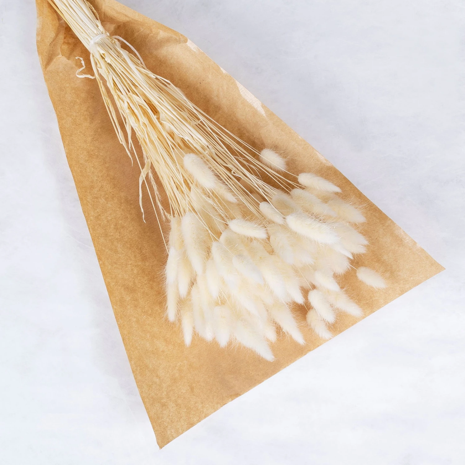 Samtgras Im Bund, Gebleicht Und Getrocknet, Ca. 65 Cm 2 Samtgras Im Bund, Gebleicht Und Getrocknet, Ca. 65 Cm – Bild 2