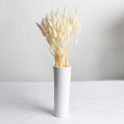 Samtgras Im Bund, Gebleicht Und Getrocknet, Ca. 65 Cm 5 Samtgras Im Bund, Gebleicht Und Getrocknet, Ca. 65 Cm -Bio Pflanzen Verkauf 1055300010 Lagurus gebleicht 2 89168