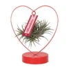 Tillandsia In Herzförmigem Metallgestell, Rot, Höhe Ca. 23 Cm