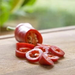 Blu Bio Chilipflanze Zwerg-Chili, Topf-Ø 12 Cm, 3er Set -Bio Pflanzen Verkauf 1620330132 Blu Bio Zwerg Chili mit Fruechte T12 3er Set extra scharf 2 124305