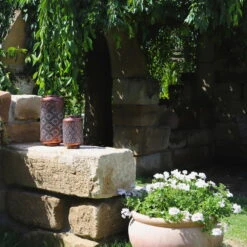 Kölle LED-Solarlaterne Adana, Gold Matt, Höhe 26 Cm, Ø 16 Cm 5 Kölle LED-Solarlaterne Adana, Gold Matt, Höhe 26 Cm, Ø 16 Cm -Bio Pflanzen Verkauf 2950100472 2950100469 Adana 1 113714