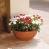 Euro 3 Plast Pflanzschale Olimpo Terra