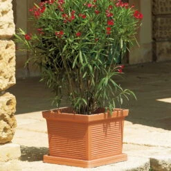 Euro 3 Plast Pflanzkübel Millerighe Terra