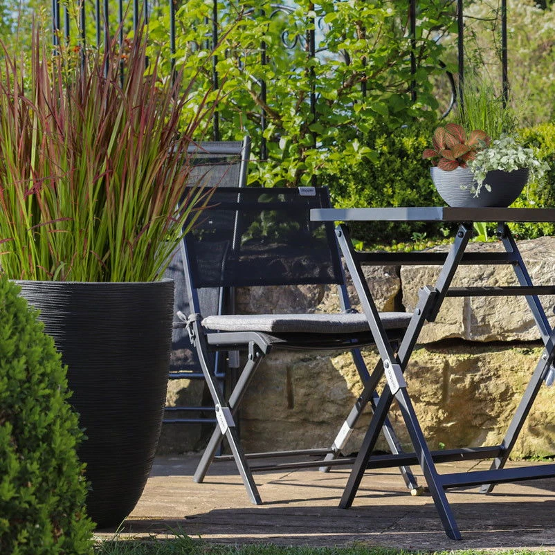 Japanisches Blutgras 'Red Baron', Blattspitzen In Rot, Topf -Ø 19 Cm 2 Japanisches Blutgras 'Red Baron', Blattspitzen In Rot, Topf -Ø 19 Cm – Bild 2