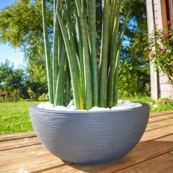 Pflanzschale Graphit Ella Anthrazit 8 Pflanzschale Graphit Ella Anthrazit -Bio Pflanzen Verkauf 3210103482 Pflanzschale Graphit Ella anthrazit 40x16 5cm 14 9l 01 48317