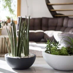 Pflanzschale Graphit Ella Anthrazit 9 Pflanzschale Graphit Ella Anthrazit -Bio Pflanzen Verkauf 3210103482 Pflanzschale Graphit Ella anthrazit 40x16 5cm 14 9l 04 48314