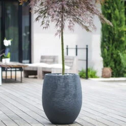 Pflanzgefäß Graphit Egg, Anthrazit, Wasserdicht, Robust -Bio Pflanzen Verkauf 3210103698 Pflanzgefaess Graphit Egg anthrazit D50xH60cm 53Ltr 1 62076