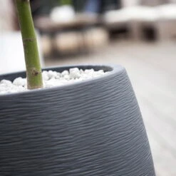 Pflanzgefäß Graphit Egg, Anthrazit, Wasserdicht, Robust -Bio Pflanzen Verkauf 3210103698 Pflanzgefaess Graphit Egg anthrazit D50xH60cm 53Ltr 2 62075