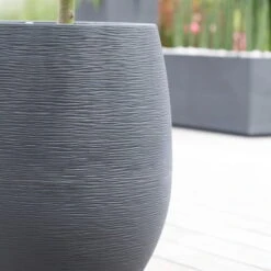 Pflanzgefäß Graphit Egg, Anthrazit, Wasserdicht, Robust -Bio Pflanzen Verkauf 3210103698 Pflanzgefaess Graphit Egg anthrazit D50xH60cm 53Ltr 3 62074