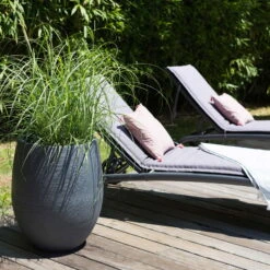Pflanzgefäß Graphit Egg, Anthrazit, Wasserdicht, Robust -Bio Pflanzen Verkauf 3210103698 Pflanzgefaess Graphit Egg anthrazit D50xH60cm 53Ltr 5 62073