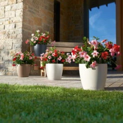 LECHUZA Pflanztopf 'Classico Color 60', Weiß, Ø 60 X H 55,5 Cm -Bio Pflanzen Verkauf 3210103918 Pflanzgefaess Classico Color 60 All in 1 weiss 3 109195