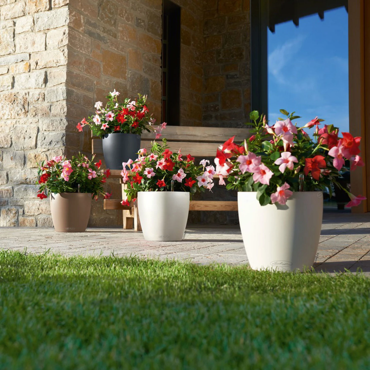 LECHUZA Pflanzgefäß 'Classico Color 70', Grau, Ø 70 X H 64,5 Cm 3 LECHUZA Pflanzgefäß 'Classico Color 70', Grau, Ø 70 X H 64,5 Cm – Bild 3