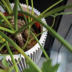 Pflanzgefäß 'Groove', Elfenbein, Ø 35 X H 34 Cm -Bio Pflanzen Verkauf 3210104106 3210104107 3210104108 pflanzgefaess pflanzvase groove 116896