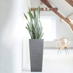 Pflanzgefäß 'Rotterdam MidHigh', Grau -Bio Pflanzen Verkauf 3210104153 pflanzgefaess rotterdam high 1 117471