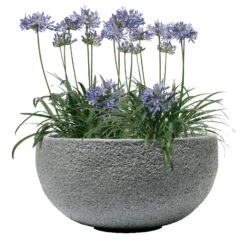Pflanzschale Rock Line Banham, Granitgrau, Ø 35 X H 17 Cm