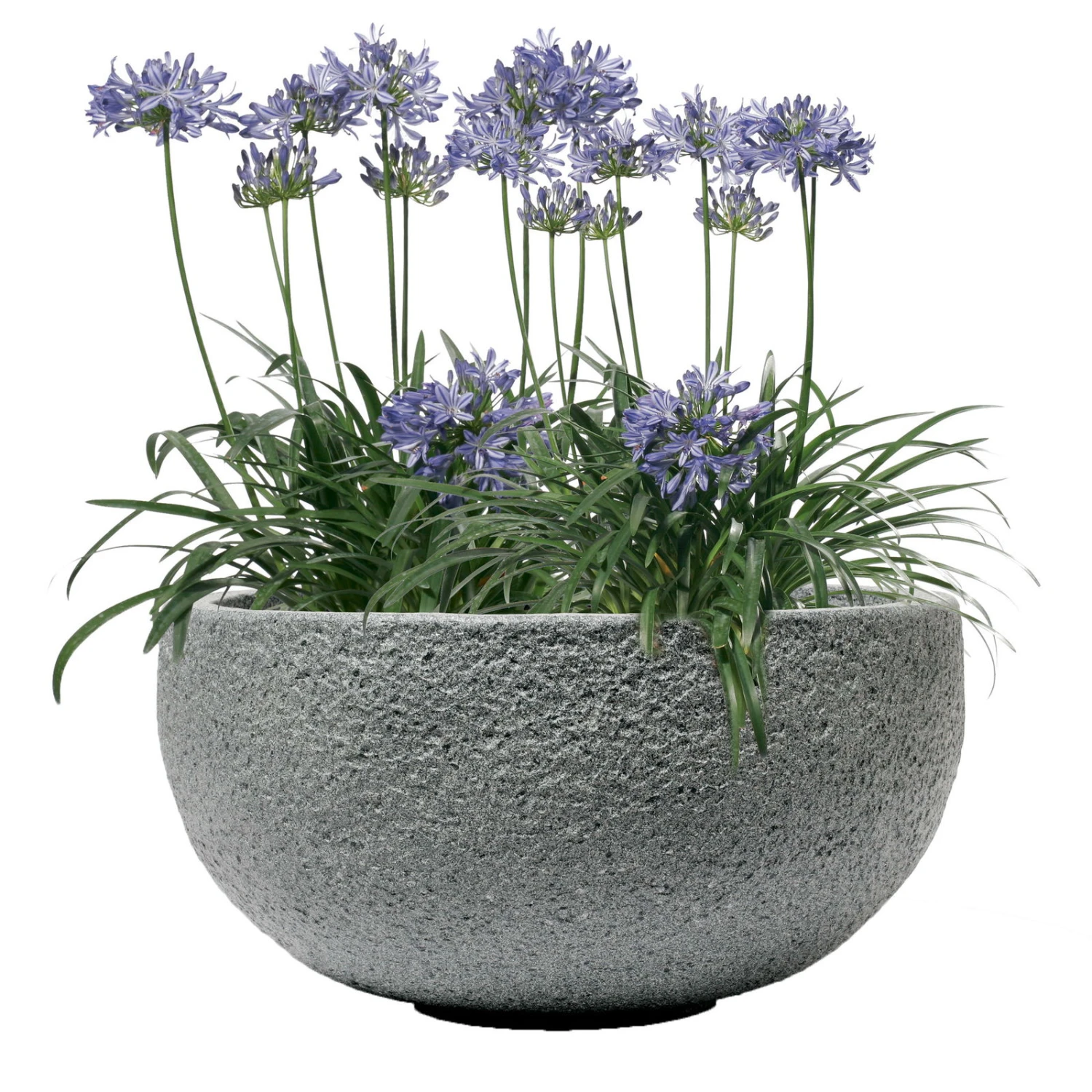 Pflanzschale Rock Line Banham, Granitgrau, Glasfaserverstärkter Kunststoff 1 Pflanzschale Rock Line Banham, Granitgrau, Glasfaserverstärkter Kunststoff